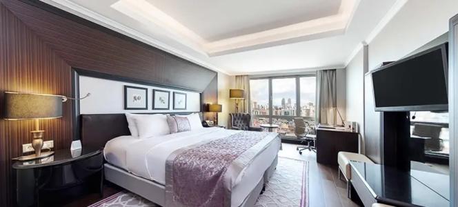 Dedeman Bostanci Istanbul & Convention Center - 119