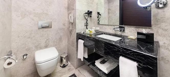 Dedeman Bostanci Istanbul & Convention Center - 121