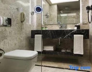 Dedeman Bostanci Istanbul & Convention Center - 104