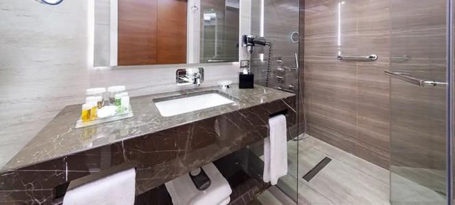 Dedeman Bostanci Istanbul & Convention Center - 114