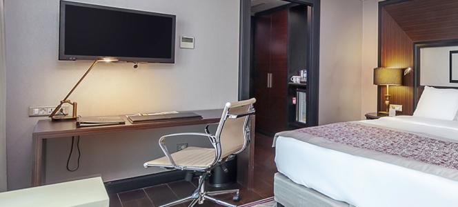 Dedeman Bostanci Istanbul & Convention Center - 106