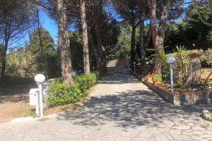 Hotel Edera, Procchio