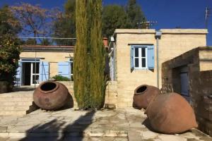Villa Avgoustis, Pachna