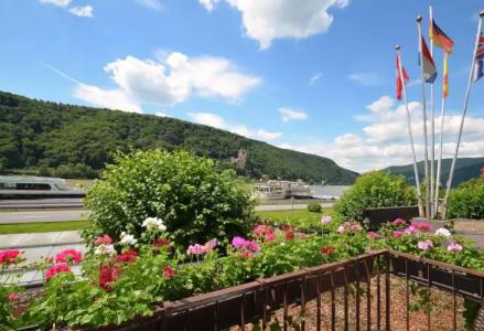 Unter den Linden - 11