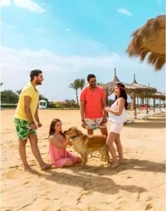 Mousa Coast & Spa - 9