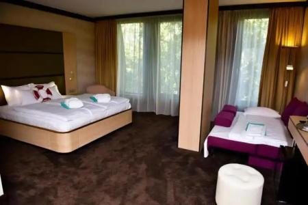 Portobello Wellness & Yacht Esztergom - 15