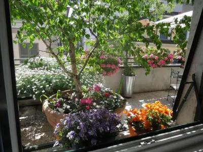 Antica Locanda Dei Mercanti - 28