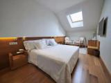 Standard Attic room