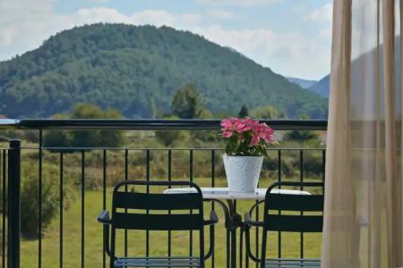 Aar & Spa Ioannina - 7