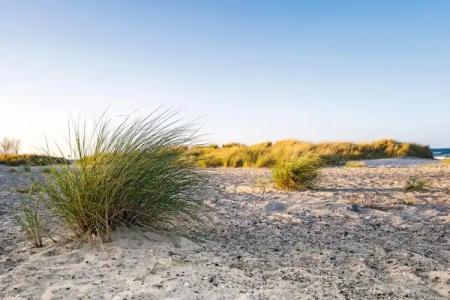 Beach Motel Heiligenhafen - 24