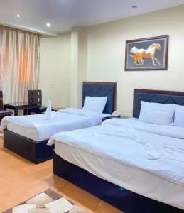 Best View Pyramids - 64