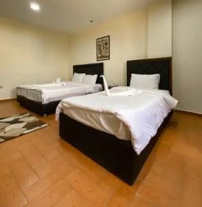 Best View Pyramids - 52