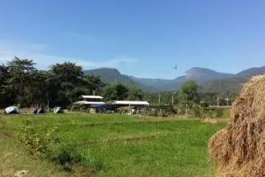 Chomthong Farmstay and Camping, Chom Thong