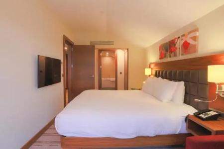 Hilton Garden Inn Eskisehir - 50