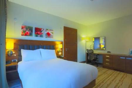 Hilton Garden Inn Eskisehir - 27