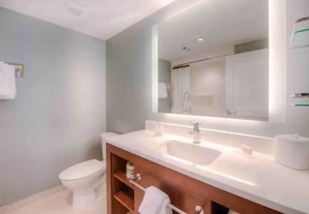 Residence Inn by Marriott Charlotte Airport - 32