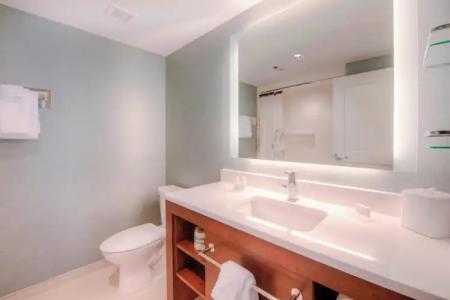 Residence Inn by Marriott Charlotte Airport - 61