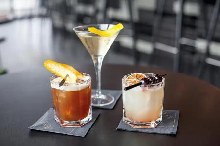 Radisson Blu, Mannheim - 19