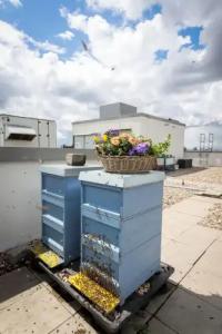 Radisson Blu, Mannheim - 29