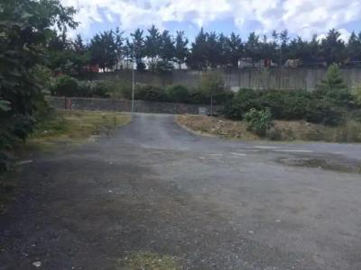 216 Turkuaz Suite - 9