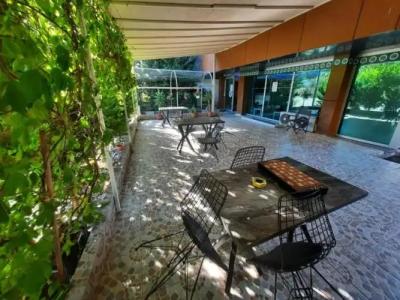 216 Turkuaz Suite - 10