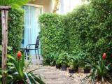 Standard room with garden view