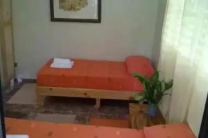 Las Galeras Island Hostel, Las Galeras