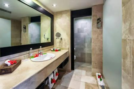 Catalonia Royal Bavaro - All Inclusive - Adults Only - 8