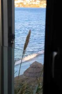 Boho-Adults Only - 20