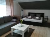 Standard Triple Family room