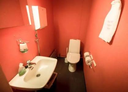 Kuukkeli Log Houses Aurora Resort - 8