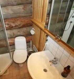 Kuukkeli Log Houses Aurora Resort - 50