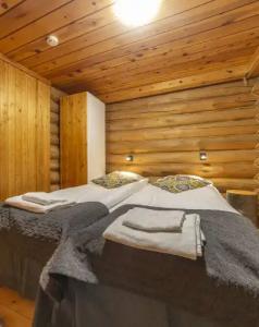 Kuukkeli Log Houses Aurora Resort - 51