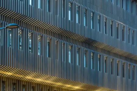 L'Arbre Voyageur - BW Premier Collection - LILLE - 16