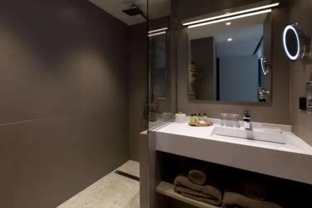 L'Arbre Voyageur - BW Premier Collection - LILLE - 37