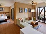 Double Junior Suite with balcony and with resort view