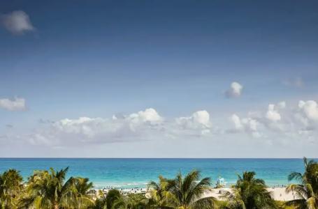 The Betsy, South Beach - 22