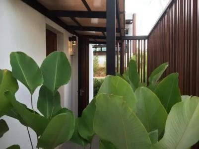 SEAnery Beach Resort - 54