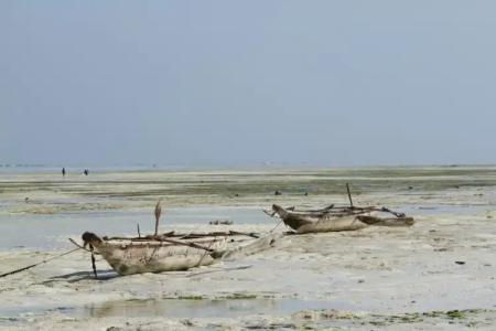 Ujamaa Beach Resort - 35