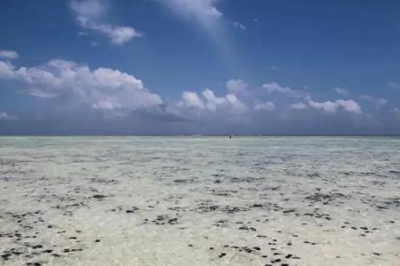 Ujamaa Beach Resort - 17