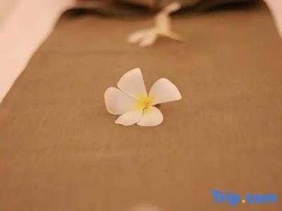 Levana Pattaya - SHA Extra Plus - 79
