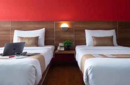 Eco Inn Prime Trang - 2