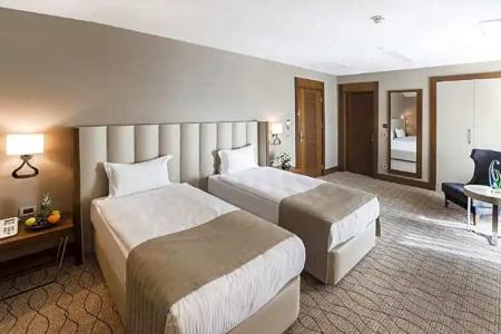 Ramada by Wyndham Sakarya - 31