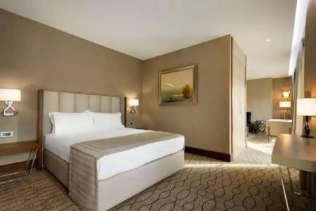Ramada by Wyndham Sakarya - 42