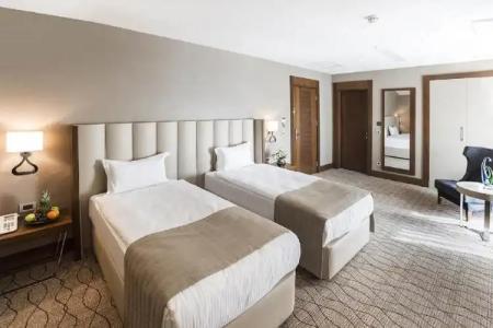 Ramada by Wyndham Sakarya - 24
