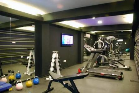 Rise Street Art - 23