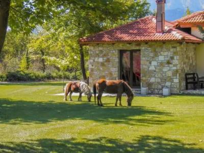 Ninemia Stay and Play - 81