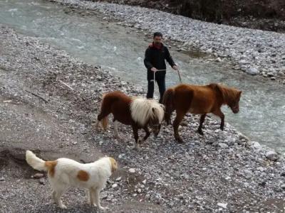 Ninemia Stay and Play - 25