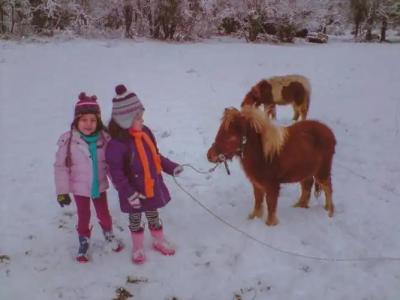 Ninemia Stay and Play - 15