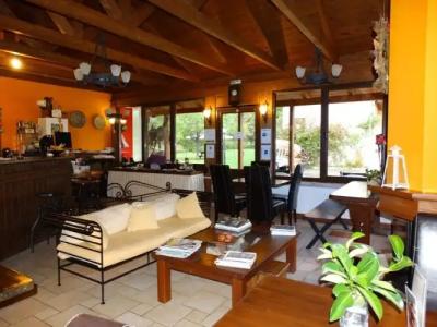 Ninemia Stay and Play - 19